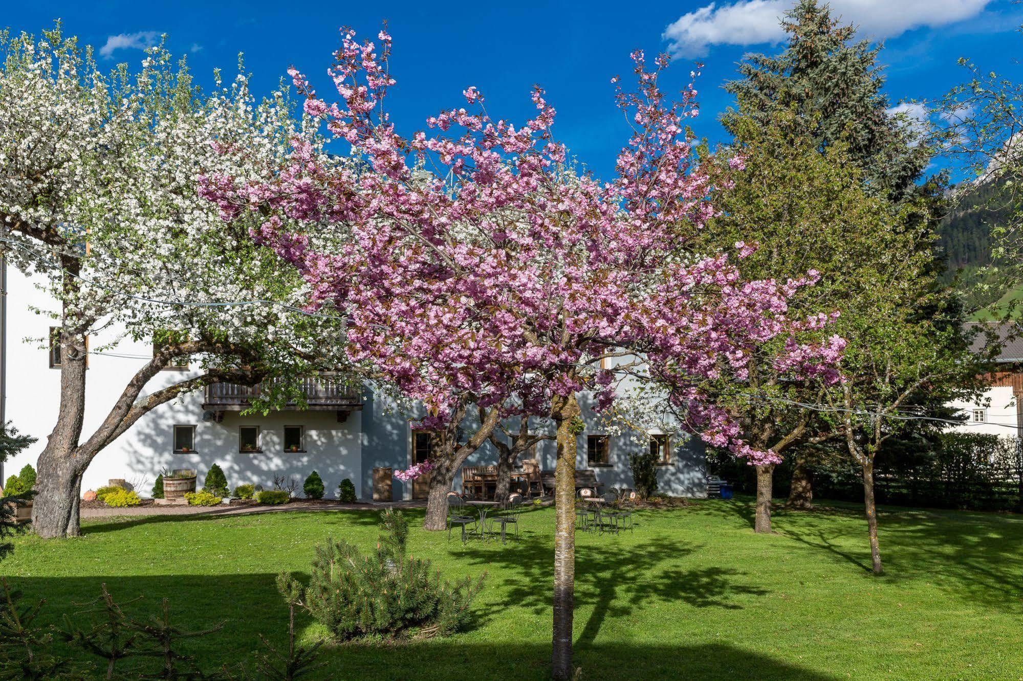 Residence Mitterdorfer Abfaltersbach Екстериор снимка